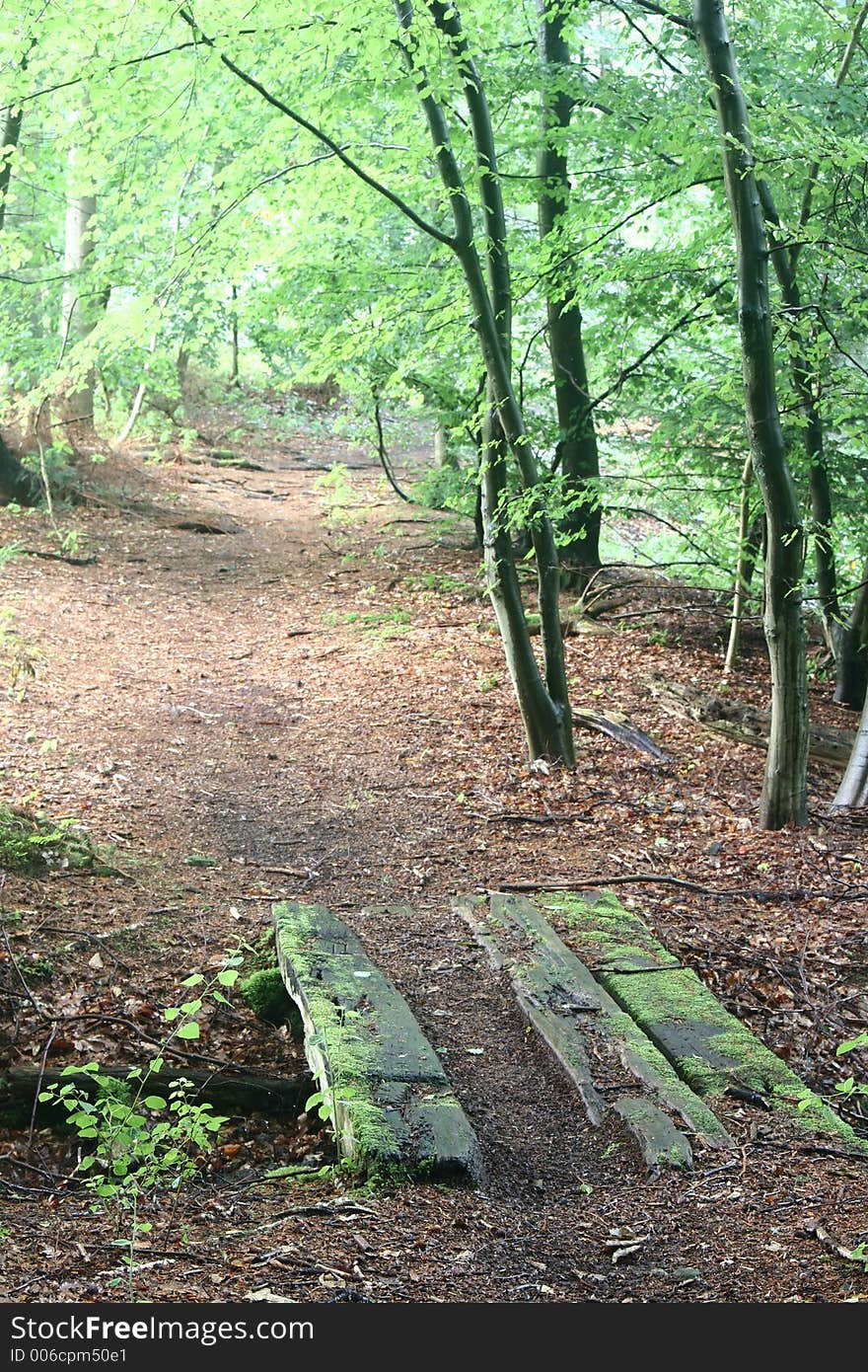 Path with old wooden bridge in the forest of rudeskov in denmark. Path with old wooden bridge in the forest of rudeskov in denmark