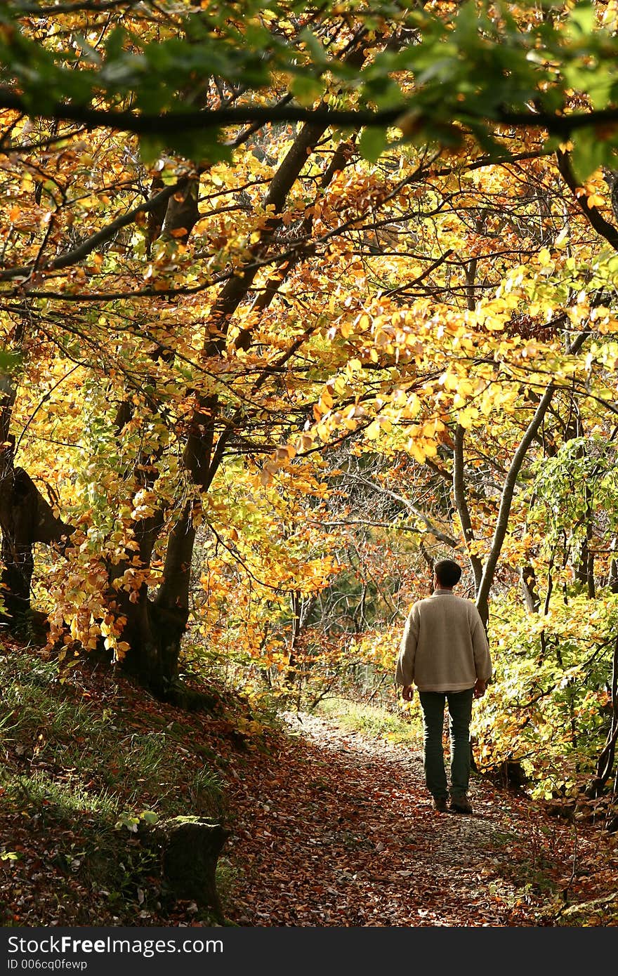 Autumn in the countryside in alsace france. Autumn in the countryside in alsace france