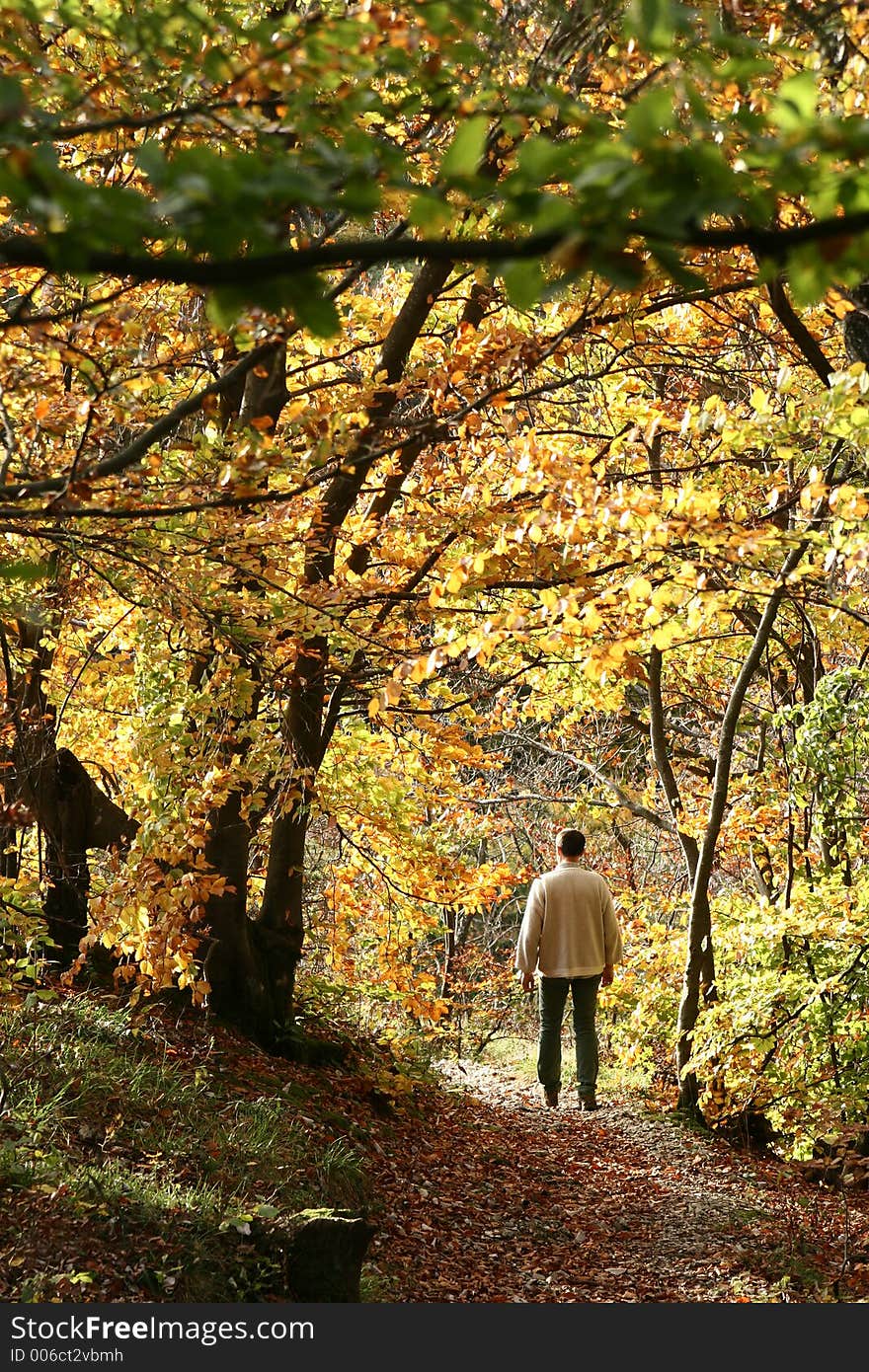 Autumn in the countryside  in alsace france. Autumn in the countryside  in alsace france