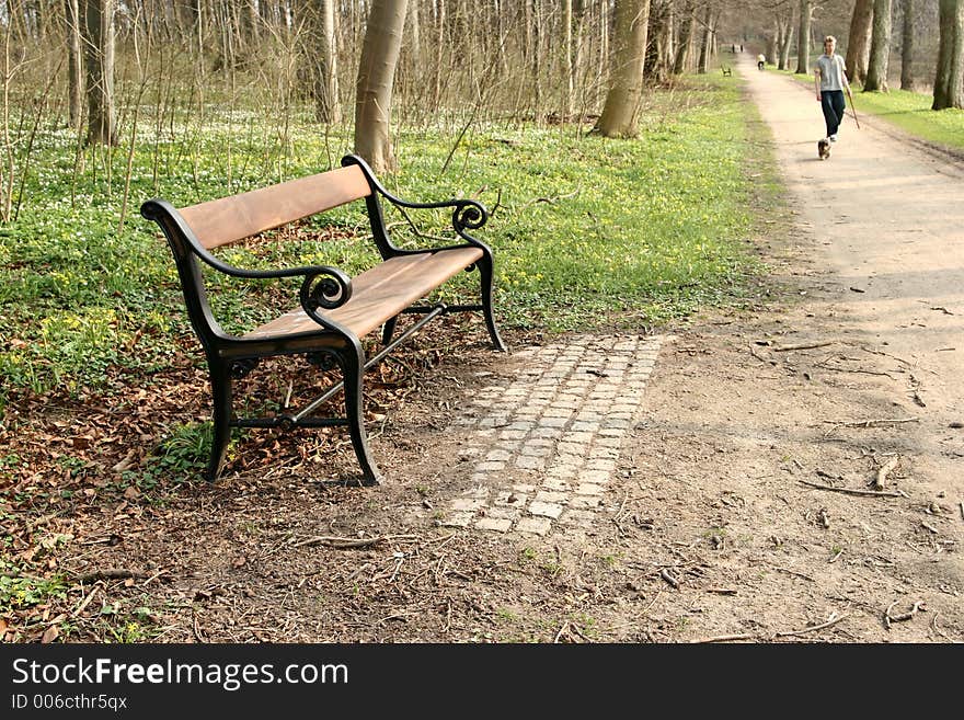 Bench   a sunny summer day   in a village in denmark with people waling the dog