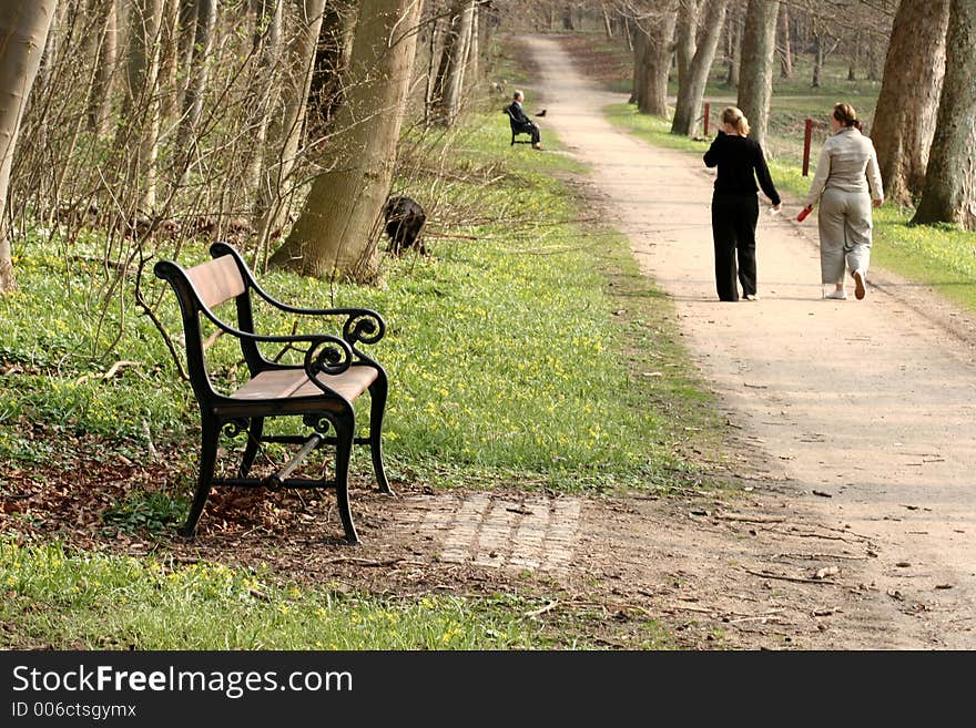 Bench a sunny summer day in a village in denmark with girls walking the dog