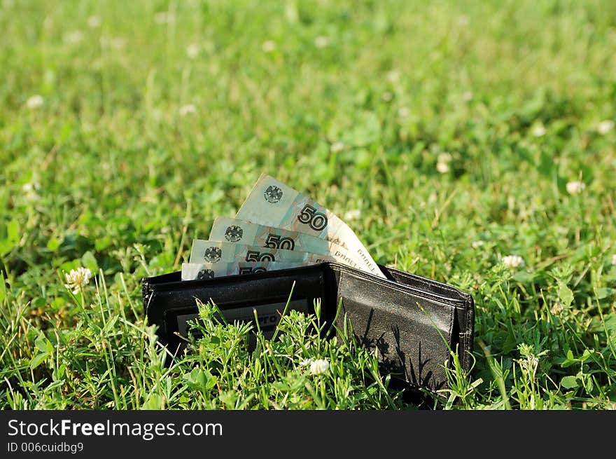 Leather wallet standing with maney at grass. Leather wallet standing with maney at grass