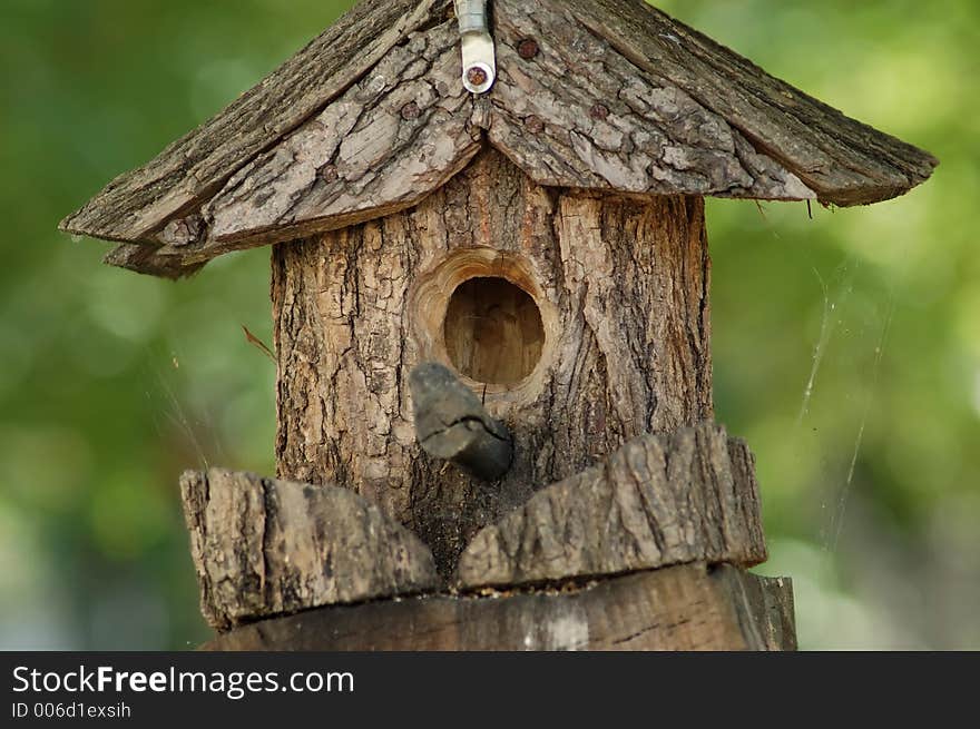 Birdhouse close up