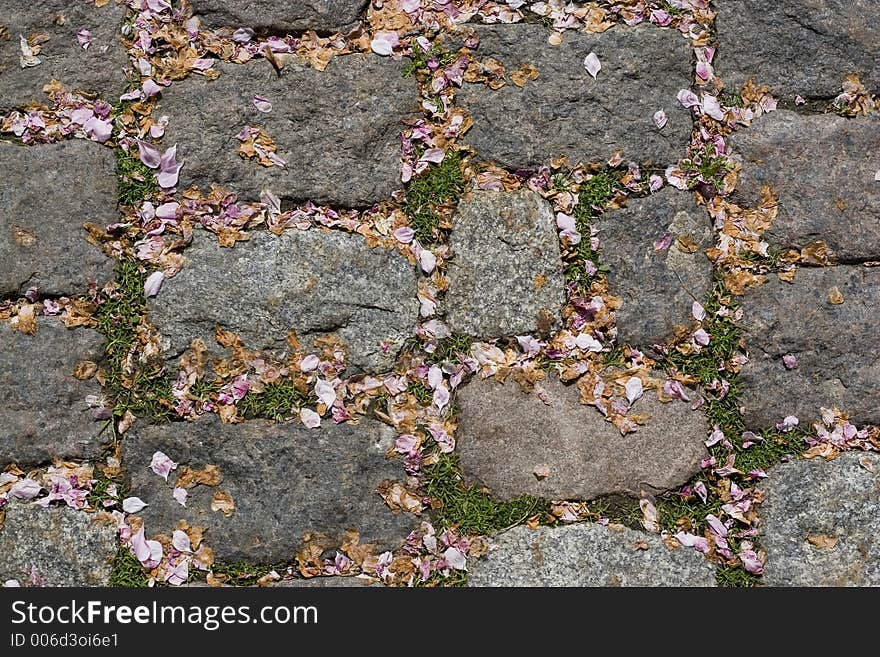 Paving stones