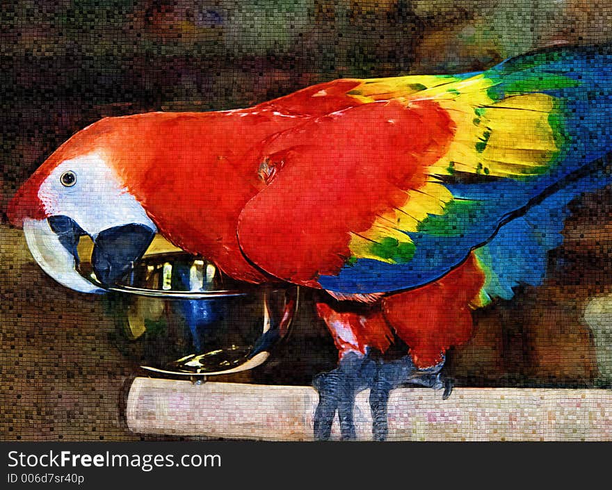 Scarlet Macaw Painting from My Photo Can Be Used for Note Cards, Desktop Wallpaper, etc.