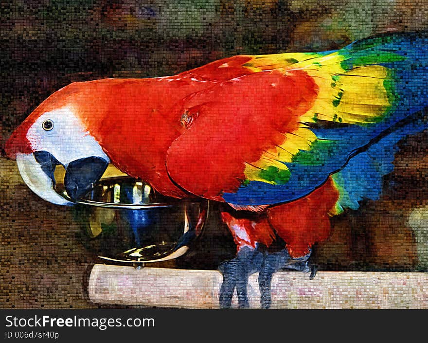 Scarlet Macaw Painting