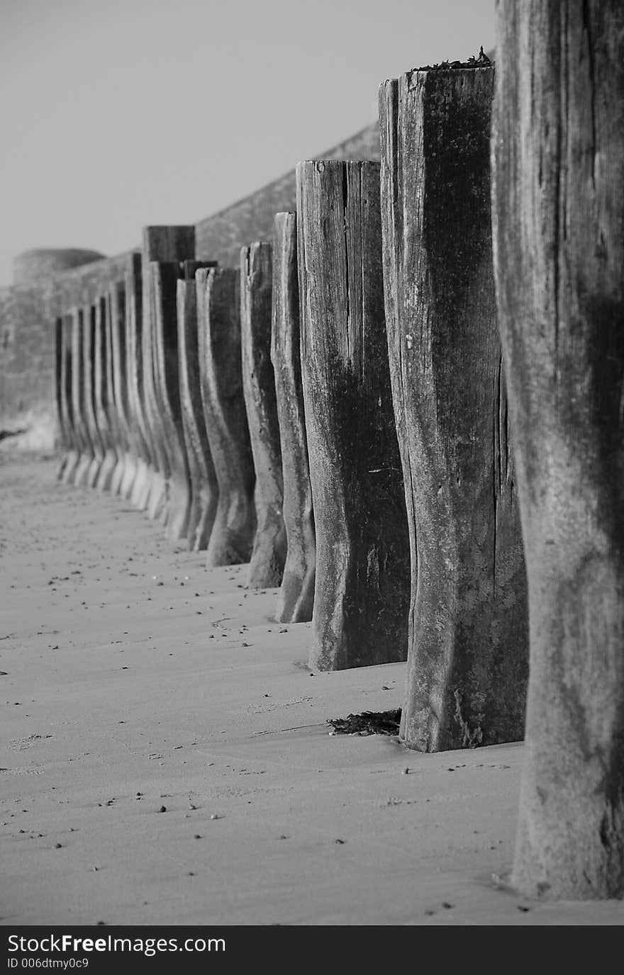 Row of Wooden Beach Posts