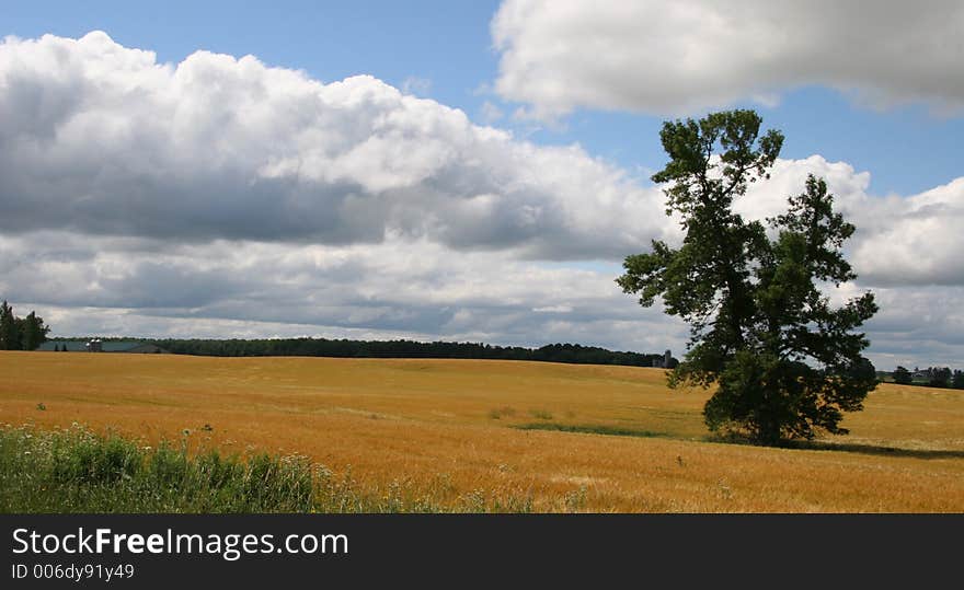 Countryside