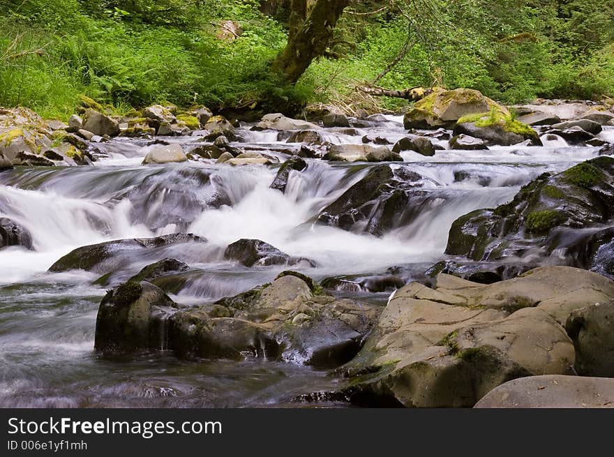 Water Down the Stream