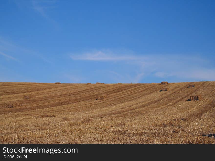 Bales of starw in a field against a blue sky. Bales of starw in a field against a blue sky