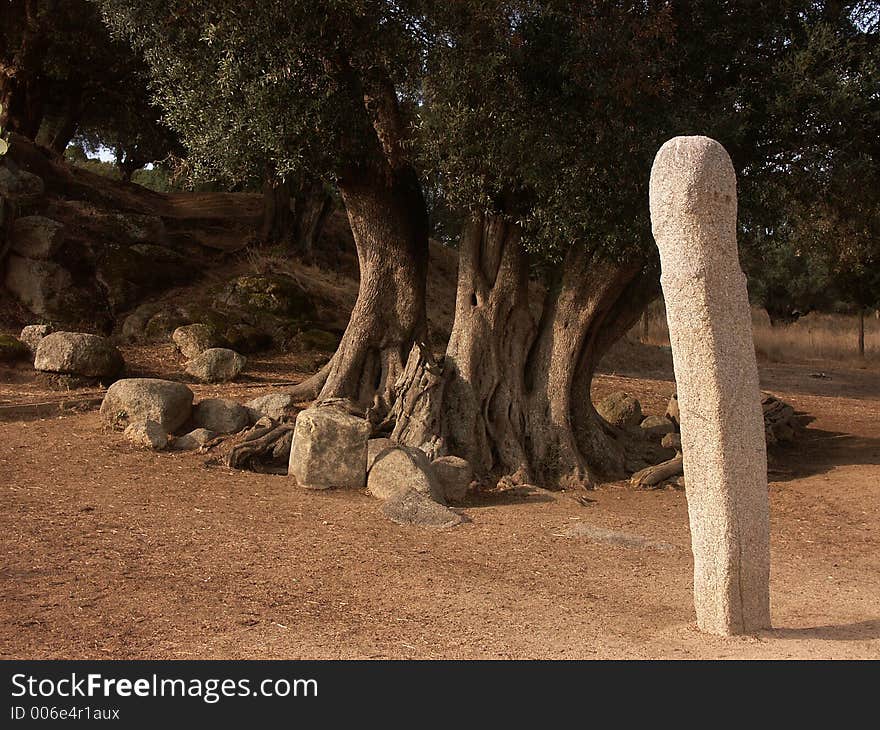 CORSICA Landscape