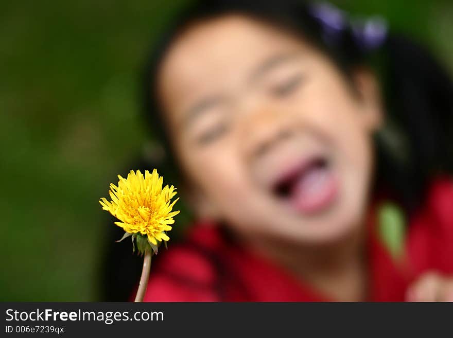 Child hand holding a dandelion. Child hand holding a dandelion