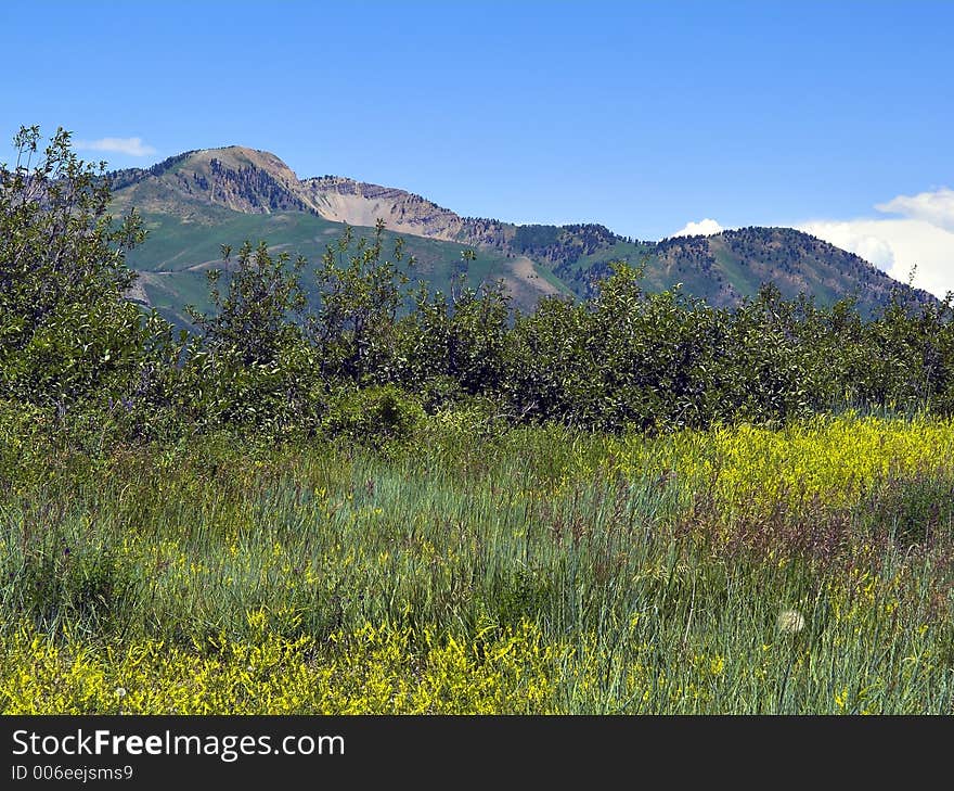 Utah Mountains - 4