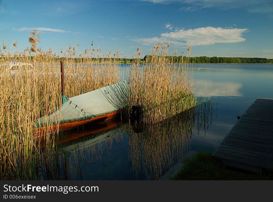 Wooden Boat In Reeds