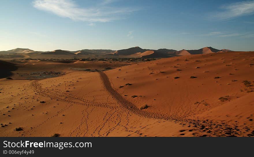 Track through the desert landscape