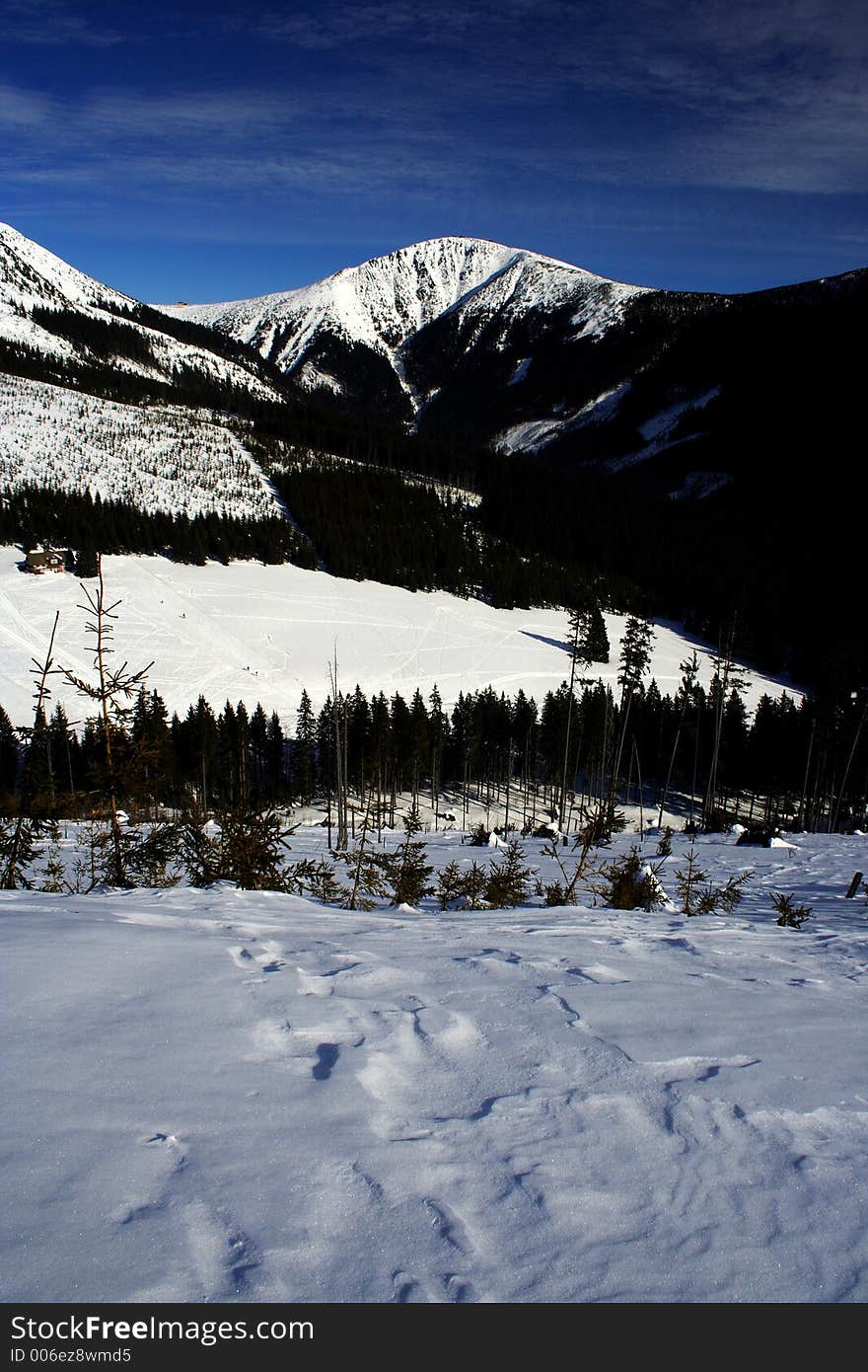 Winter In Giant Mountains