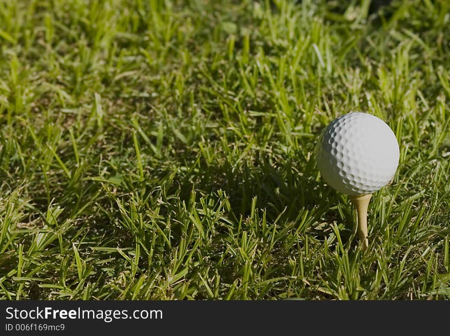 Golf ball in the grass. Golf ball in the grass