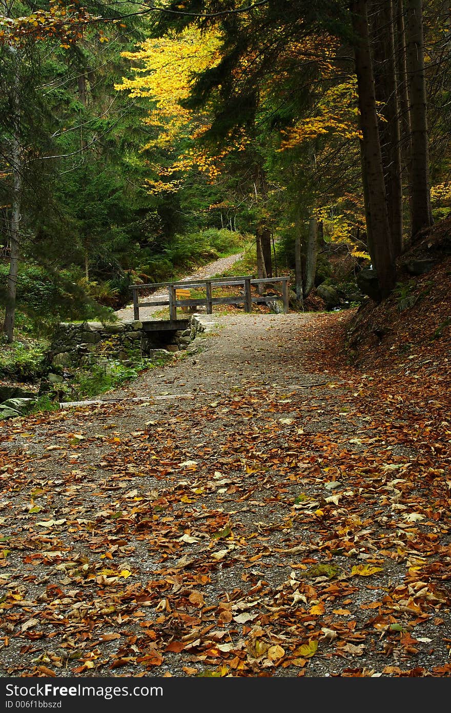 Autumn in the valley in Giant mountains.