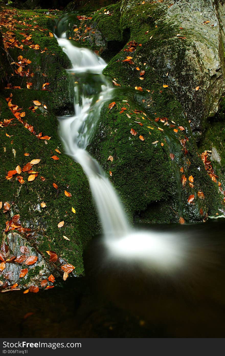 Autumn Stream In Giant Mountains