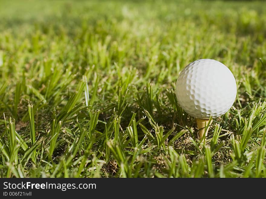 Golf ball in the grass. Golf ball in the grass