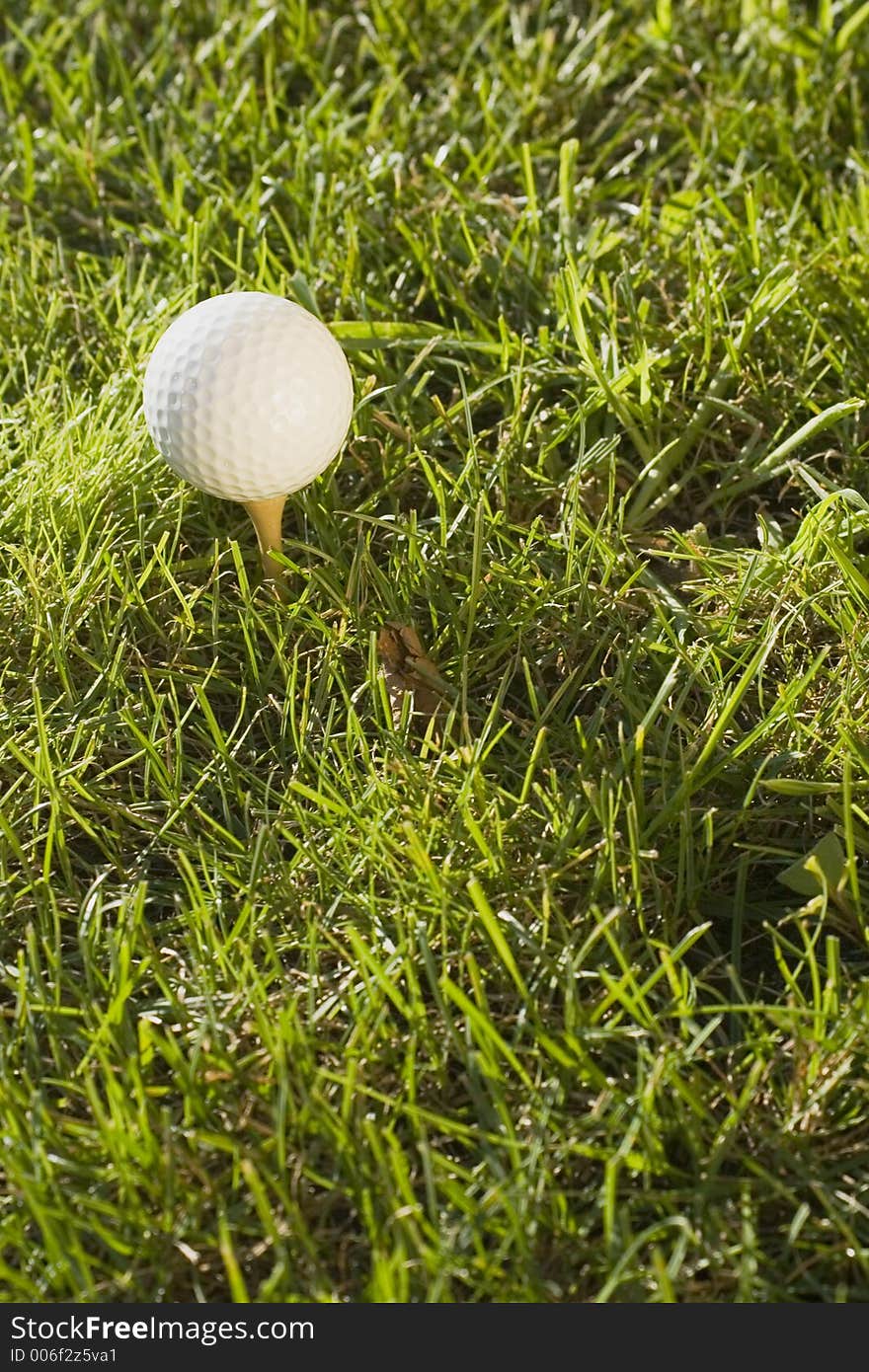 Golf ball in the grass. Golf ball in the grass