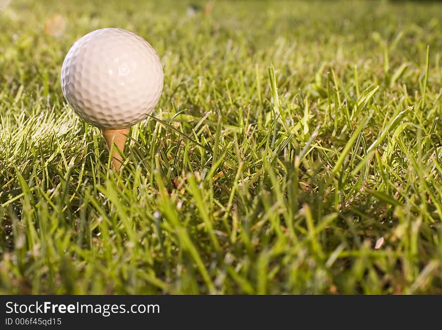 Golf ball in the grass. Golf ball in the grass