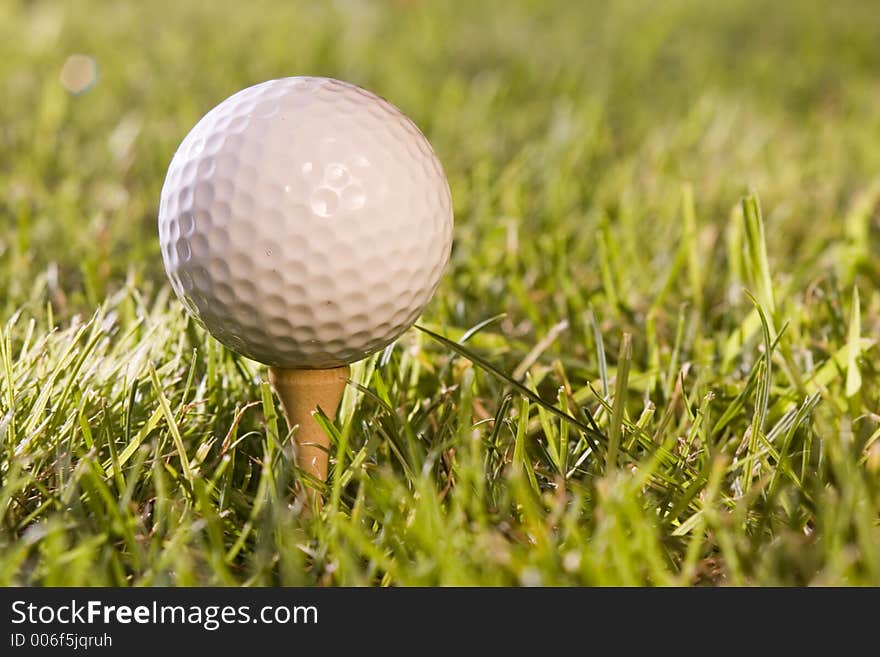 Golf ball in the grass. Golf ball in the grass