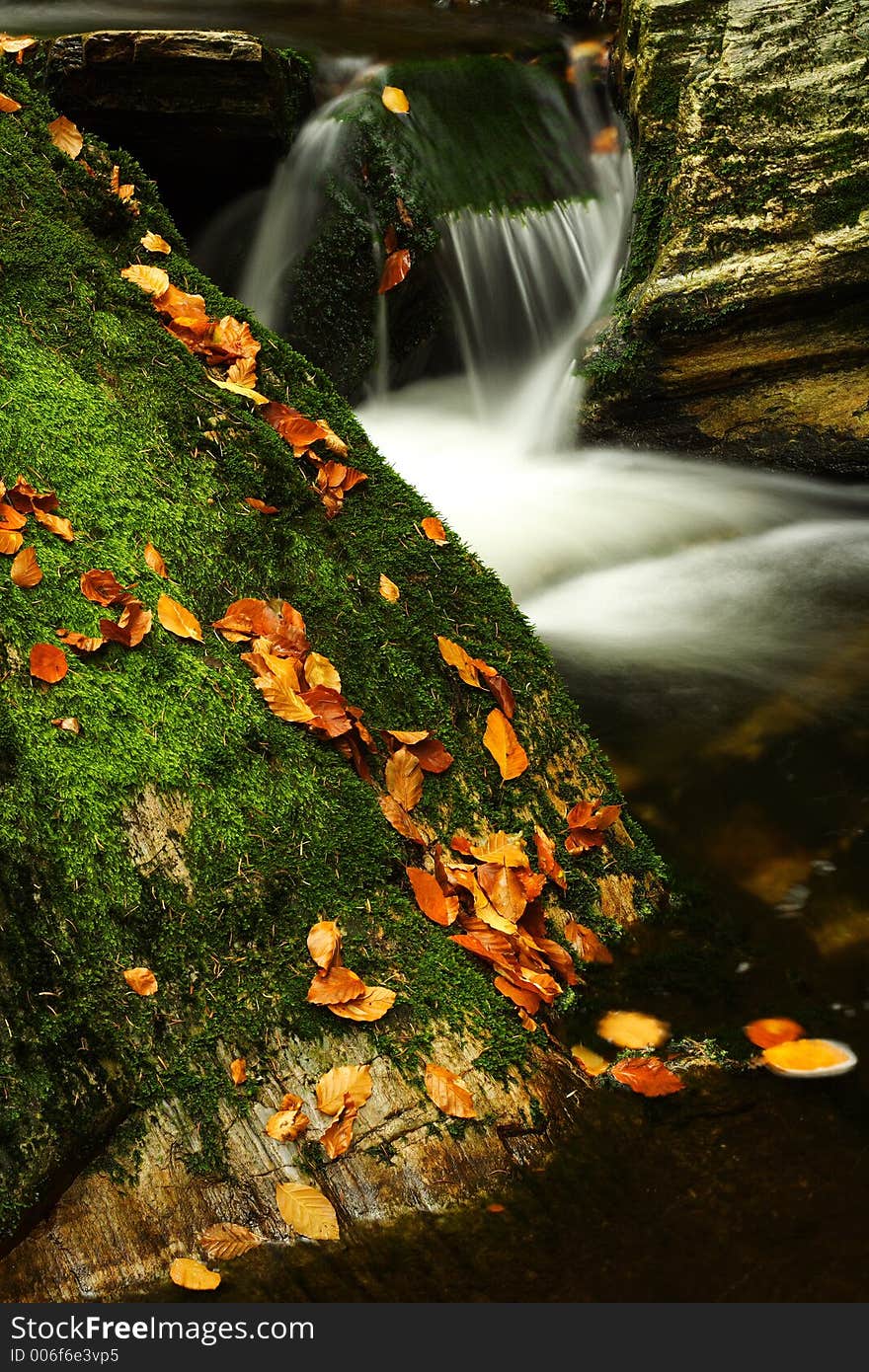 Autumn Stream In Giant Mountains