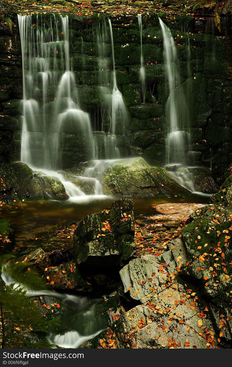 Autumn Stream In Giant Mountains