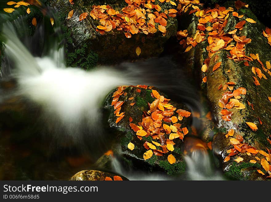 Autumn stream in Giant mountains