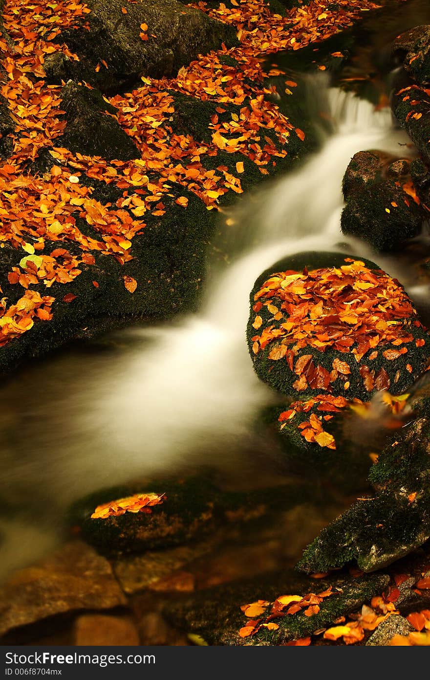 Autumn Stream In Giant Mountains