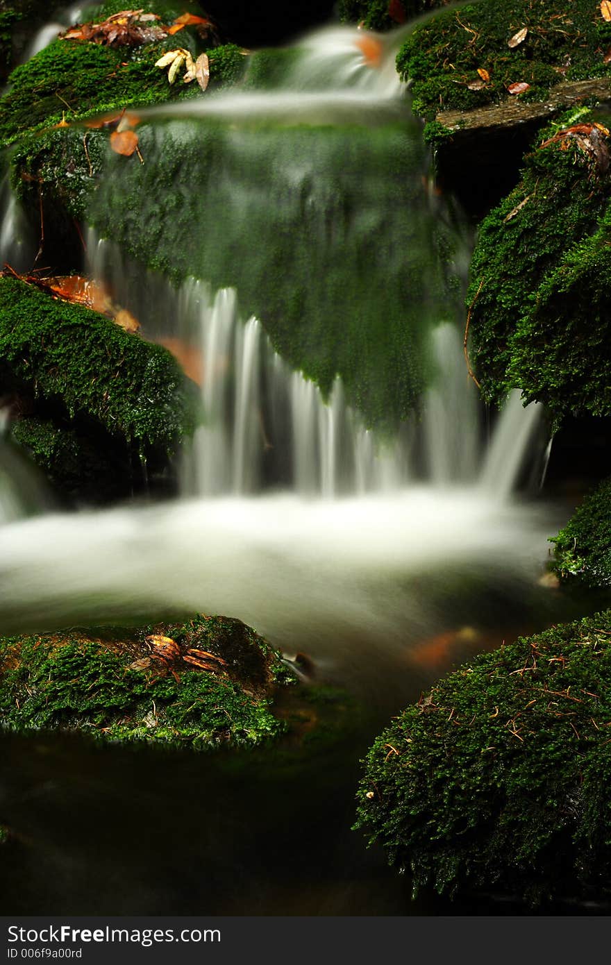 Autumn Stream In Giant Mountains