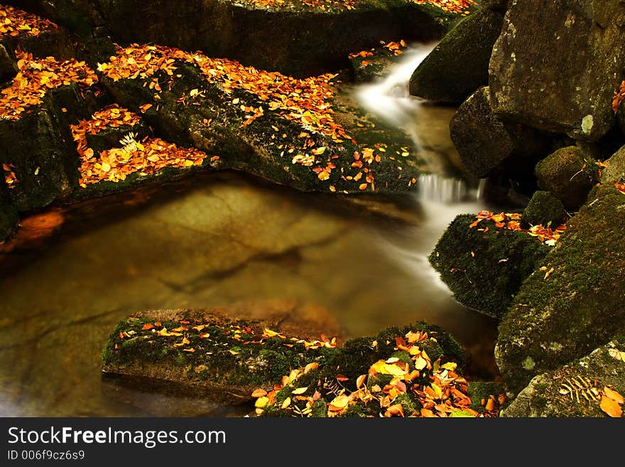 Autumn Stream In Giant Mountains