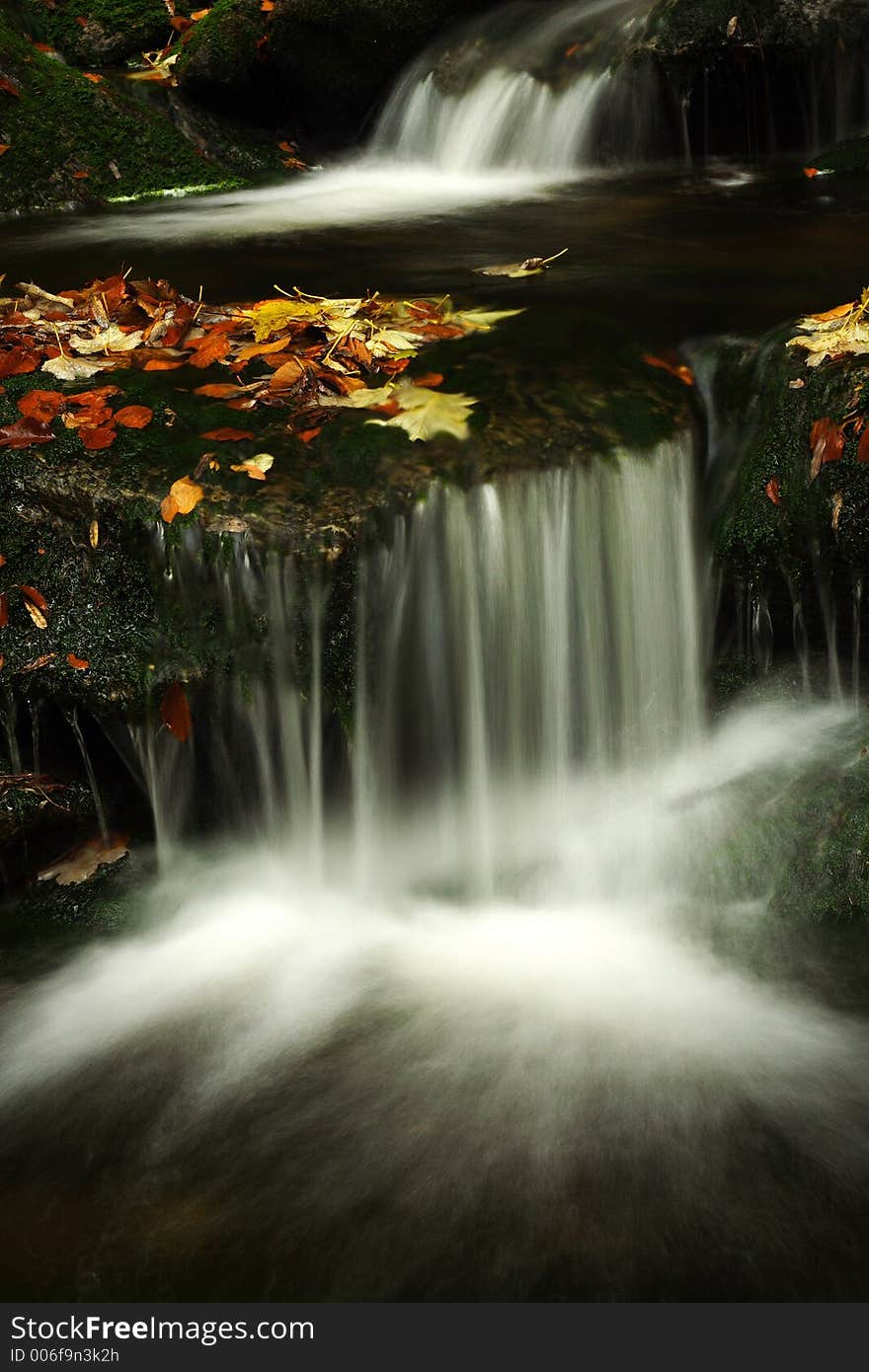 Autumn Stream In Giant Mountains