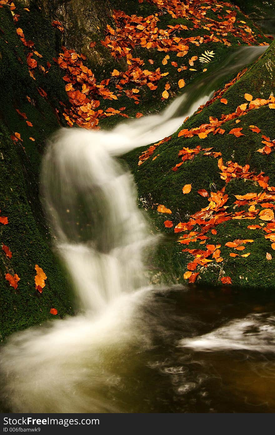 Autumn Stream In Giant Mountains