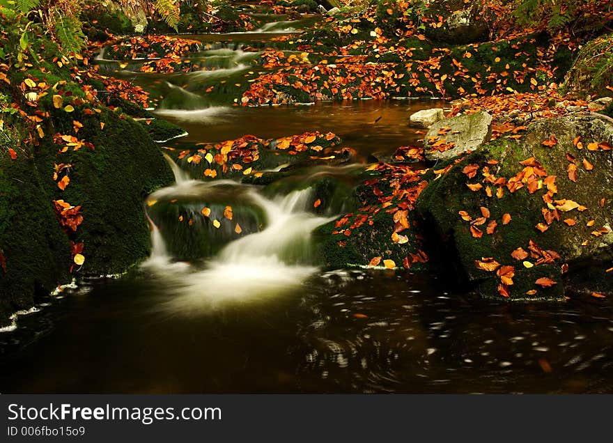 Autumn stream in Giant mountains