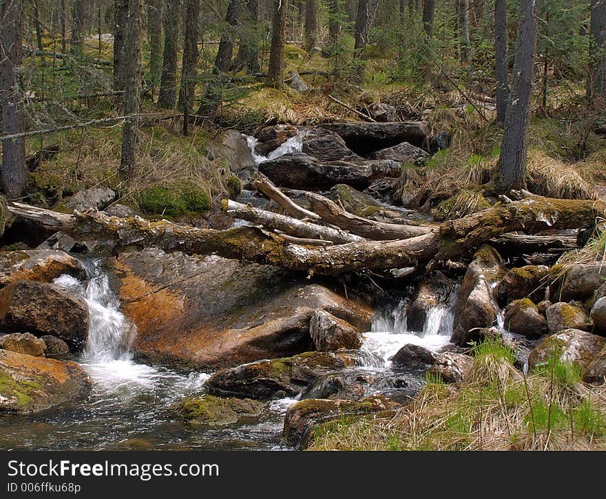 Mountain stream