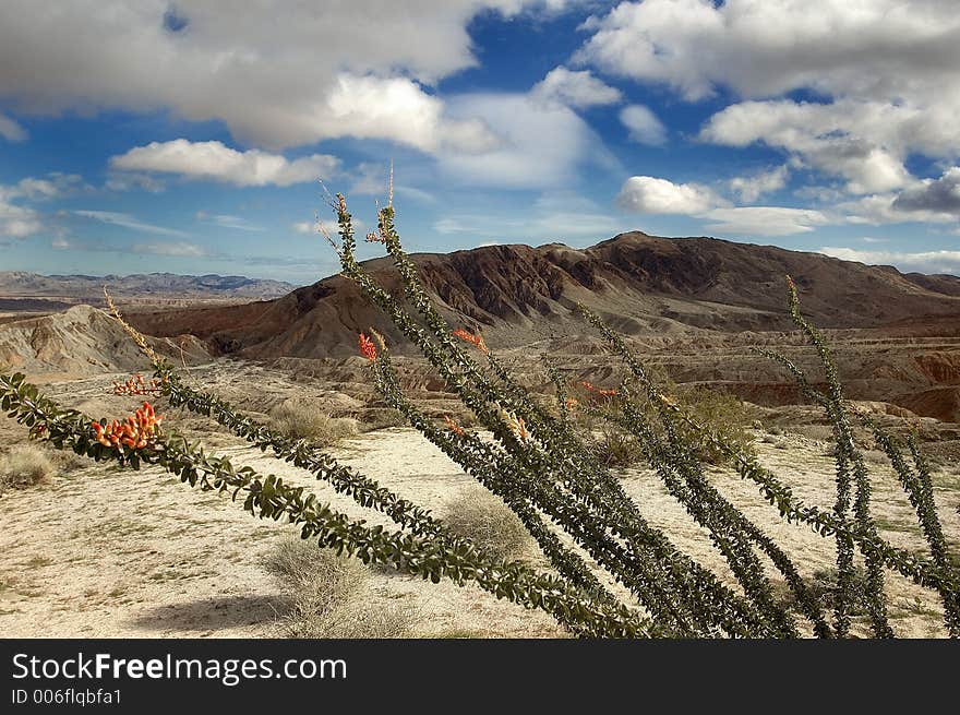 Desert Badlands