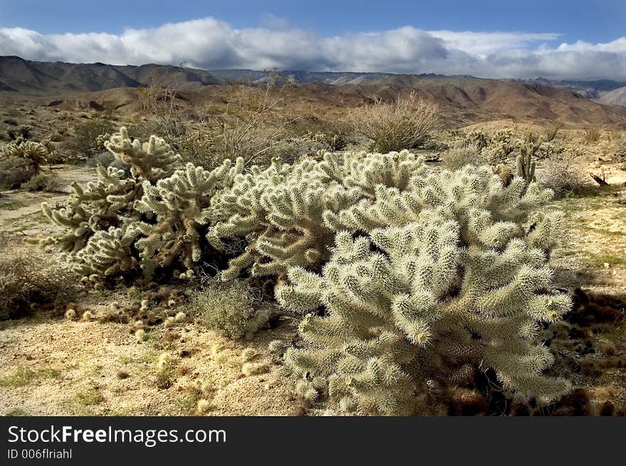 Desert Badlands