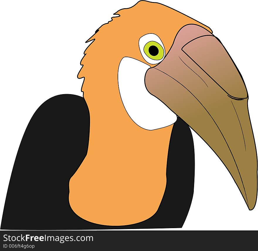 Illustration of toucan bird