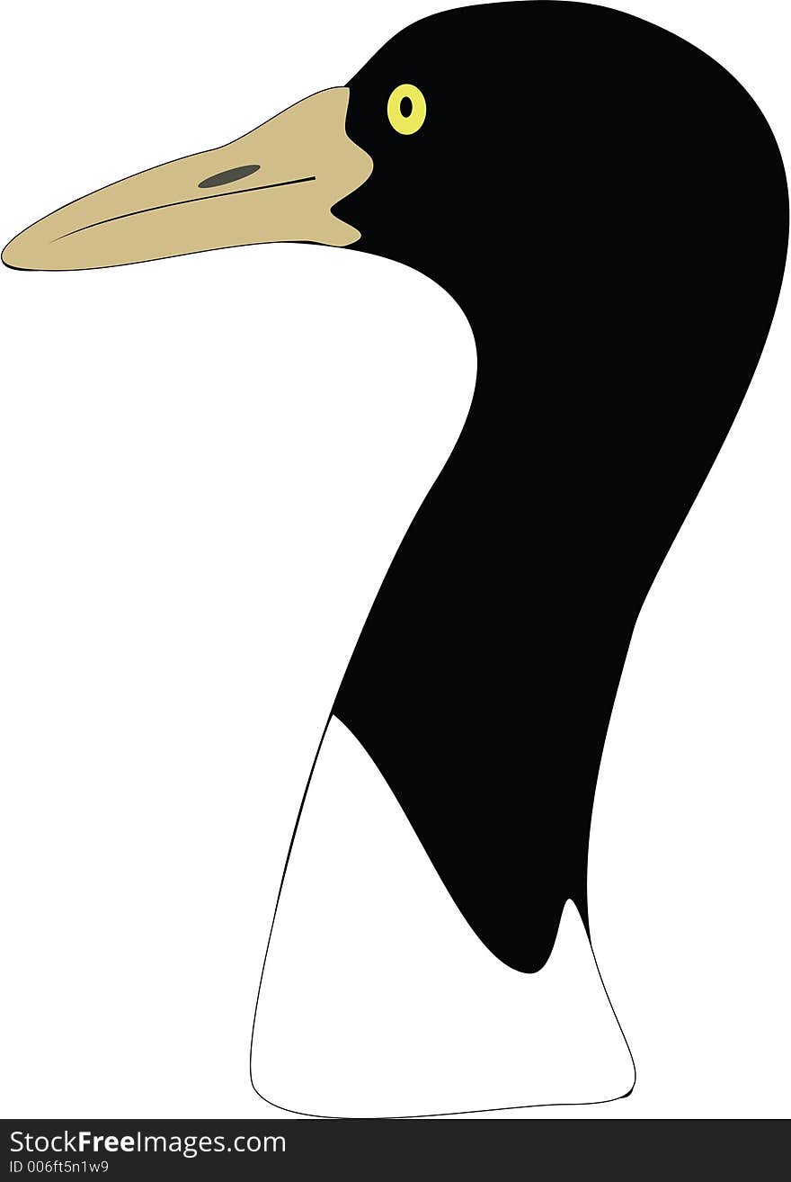 Illustration of a Crane bird