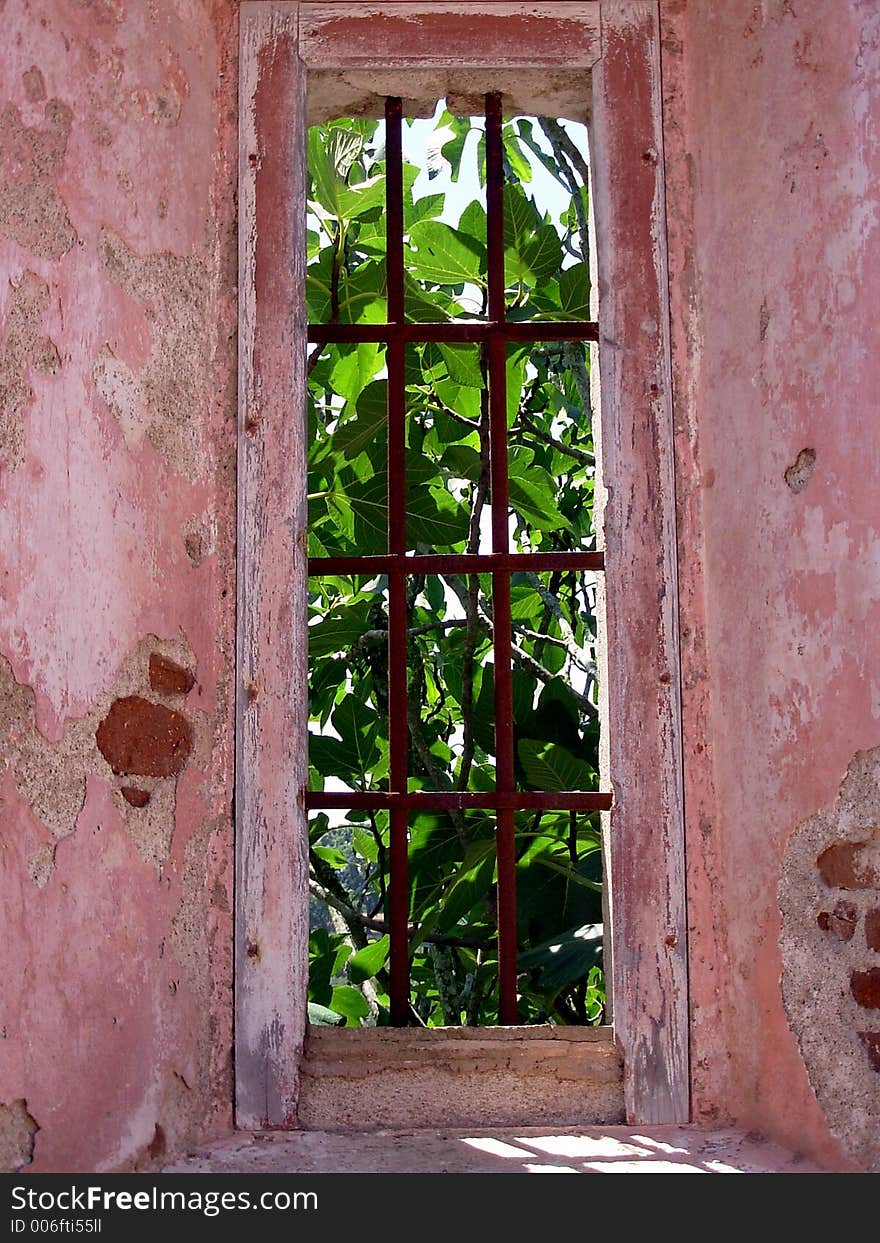 Window Of Church