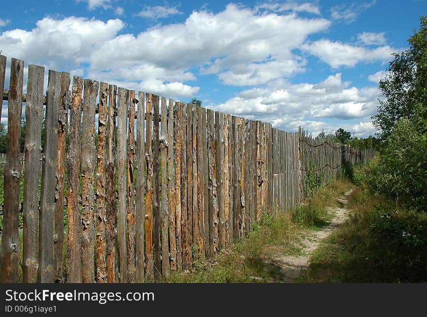 Pine fence and path