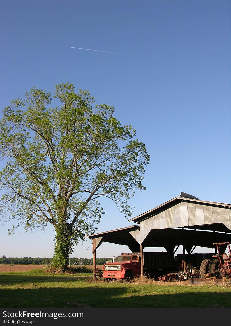 Barn And Tree