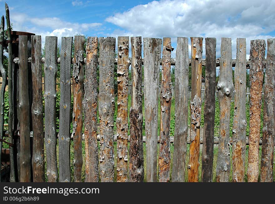 Pine Fence