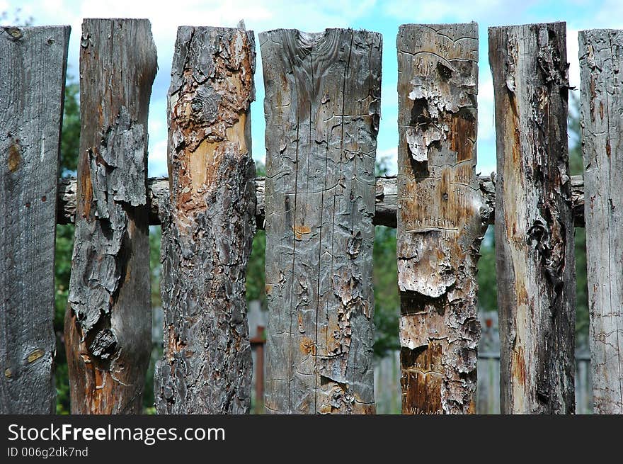 Pine fence