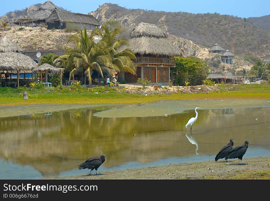 Pond in Maruate, Michoacan, Mexico