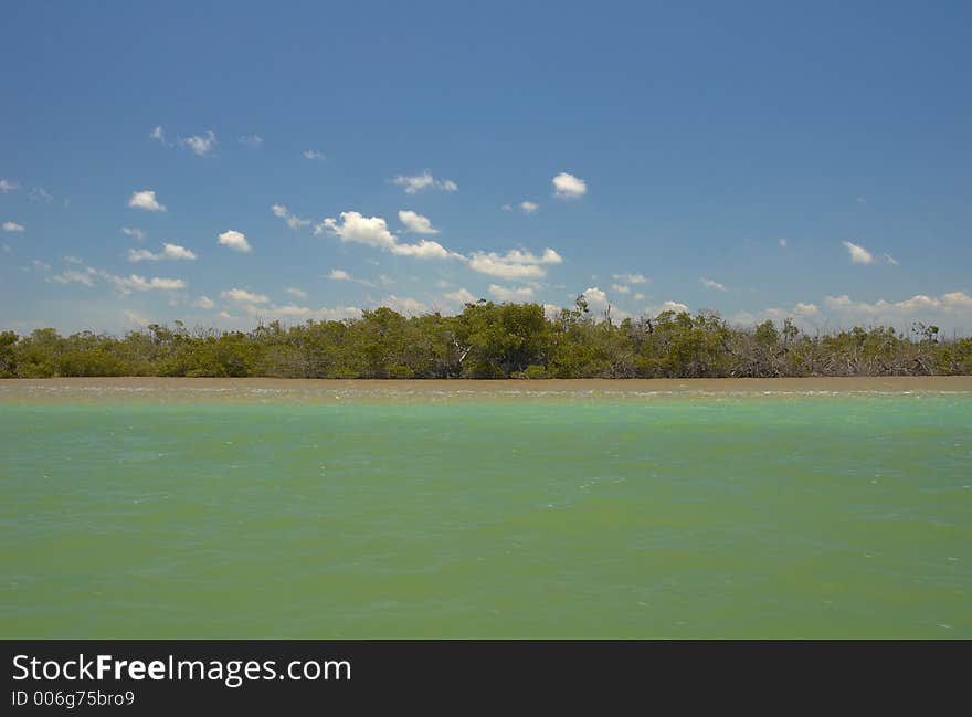 River in Rio Lagartos, Mexico