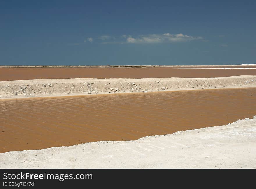 Pink water in Rio Lagartos, Mexico