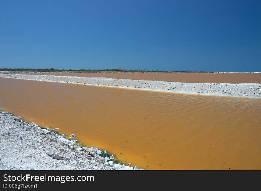 Pink water in Rio Lagartos, Mexico